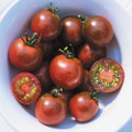 Brown Berry Tomato Seeds
