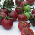 Black Cherry Tomato Seed