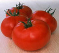 Bigger Girl F1 Tomato Seed