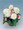 Begonia Tuberous Nonstop Series Apple Blossom