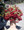 Begonia Tuberous Illumination Series Scarlet