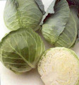 Cabbage Early Flat Dutch