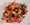 Begonia Tuberous Illumination Series Apricot