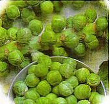 Catskill Brussel Sprouts