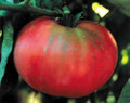 Brandywine Red Tomato Leaf Tomato Seed