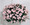 Impatiens Candy Appleblossom Seed