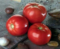 Bella Rosa Tomato Seed