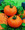 Chefs Choice Orange Tomato Seed