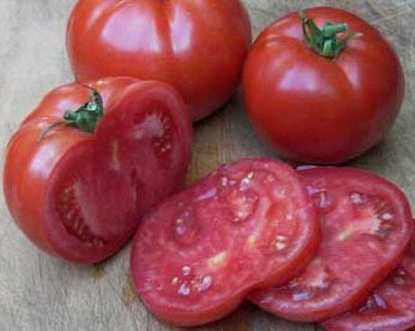 Bushels of Eight Tomato Seeds Pase Seeds