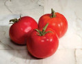 Charger Tomato Seeds