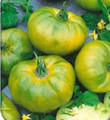 Chefs Choice Green Tomato Seeds