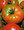 Pantano Romanesco Tomato