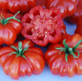 Rosso Sicilian Tomato