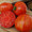 Solar Flare Tomato