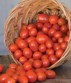 Sonoma Grape Tomato Seeds