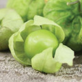 Tomatillo Grande Rio Verde Tomato Seeds