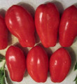 French Salsa Tomato Seeds