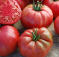 Mrs Maxwell Big Italian Tomato Seeds