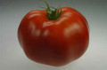 Ramapo Tomato Seeds