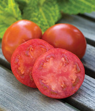 Sweetie Seedless Tomato