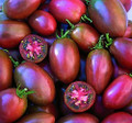 Ukranian Purple Tomato