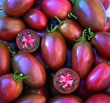 Ukranian Purple Tomato