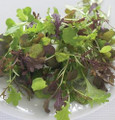 Micro Salad Mix Spicy Greens Seeds