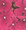 Verbena Quartz Carmine Rose Annual Seed