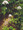 Valeriana (Valerian) Officinalis Perennial Seeds