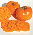Valencia Heirloom Tomato