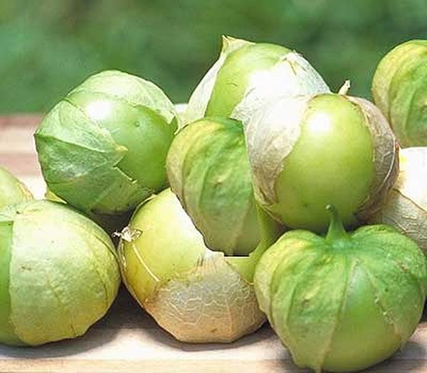 Tomatillo Toma Verde Tomato Seeds