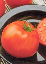 Jetsetter Tomato