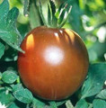 Black Prince Tomato Seeds