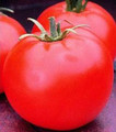 Heinz 1439 Tomato