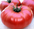 Brandywine Pink Potato Leaf Tomato Seeds