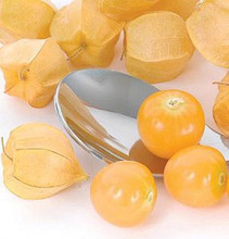 Tomatillo Seed Goldie Husk Tomato