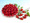 Sugary Tomato