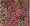 Sedum Stonecrop Many Species Mix