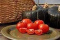 Scotia Heirloom Tomato