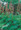 Rheum Palmatum Tanguticum Big Red