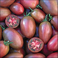 Purple Russian Heirloom Tomato