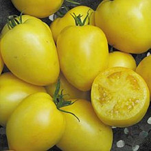 Powers Heirloom Tomato