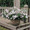 Petunia Tidal Wave Tidal Silver