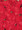 Petunia Aladdin Red