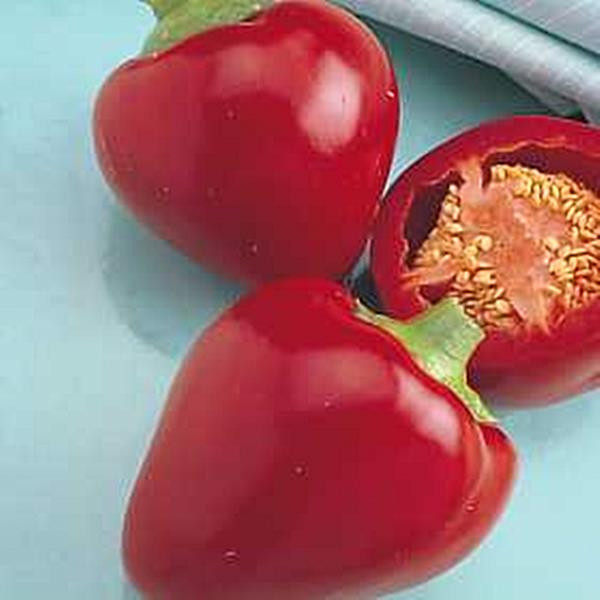 Pepper Seed Sweet Pimento L Seeds