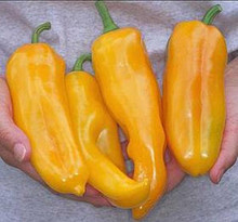 Pepper Seed - Sweet Marconi Golden