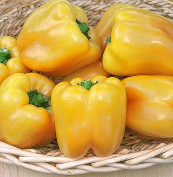 Pepper Seed Sweet Golden Summer Seeds