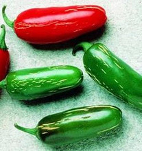 Pepper Seed - HOT - Tam Jalapeno