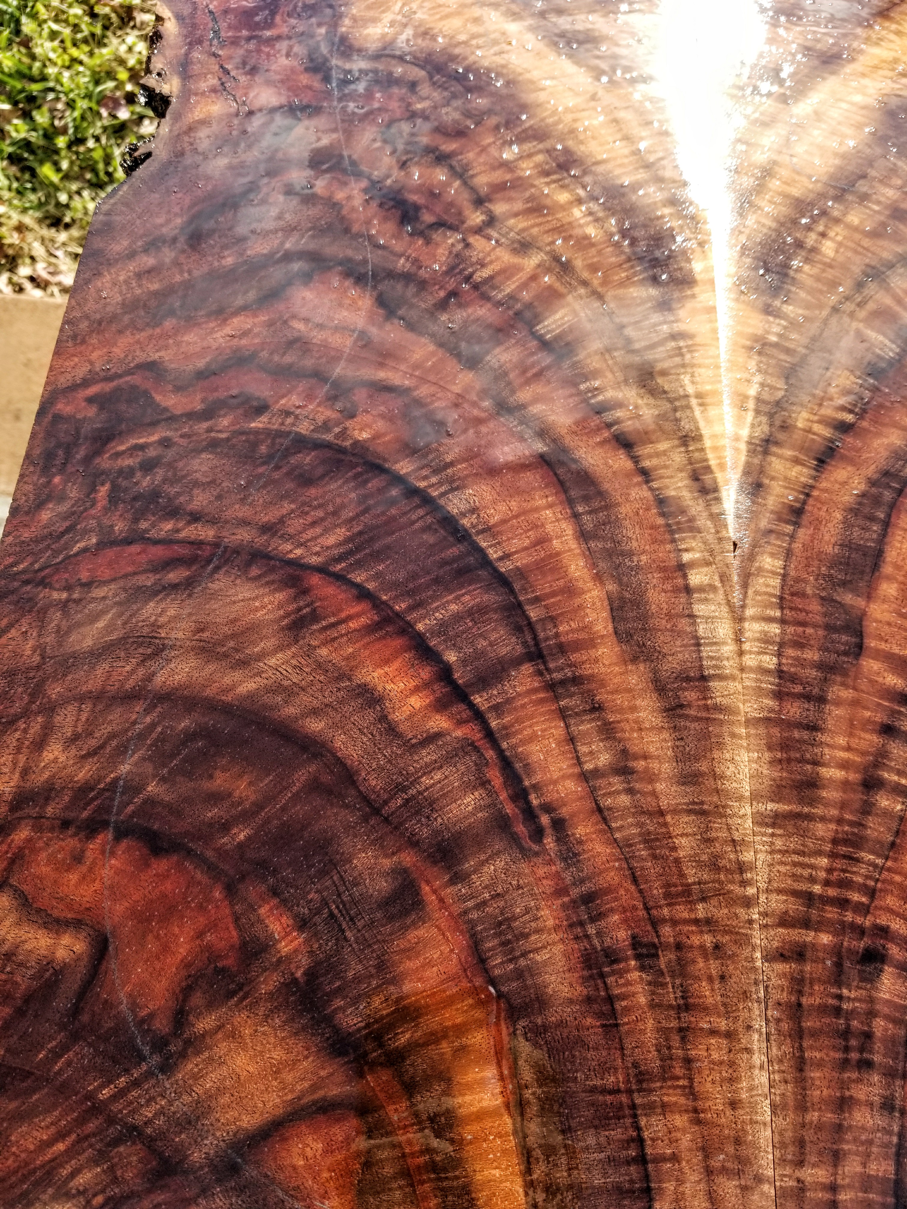 Curly exotics koa wood luthier custom crafts  walnut