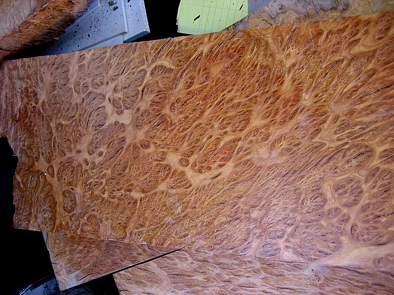 Curly exotics koa wood luthier custom crafts  quilted mepl curly maple burl burl slabs